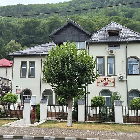 Vila Crinilor Келіменешті Екстер'єр фото